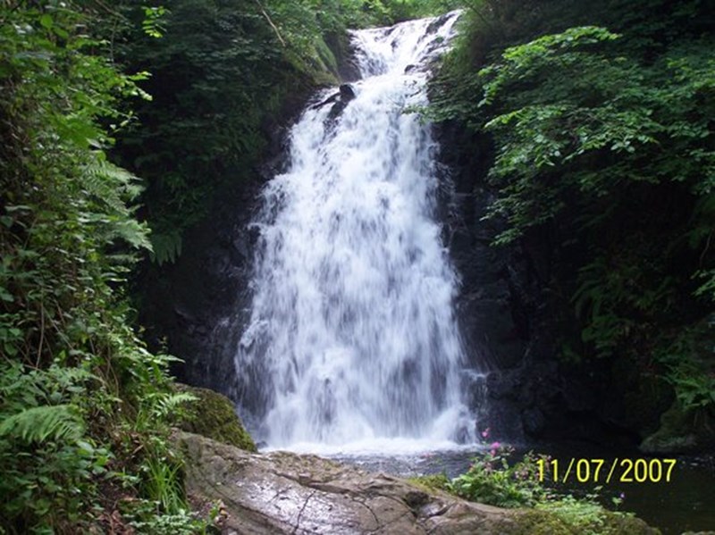 cover photo