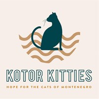 Kotor Kitties