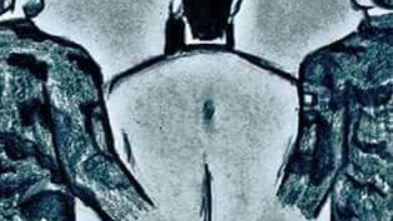 cover photo