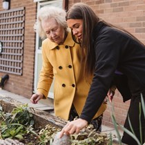 The Willows Dementia Hub