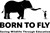 Fundraiser icon