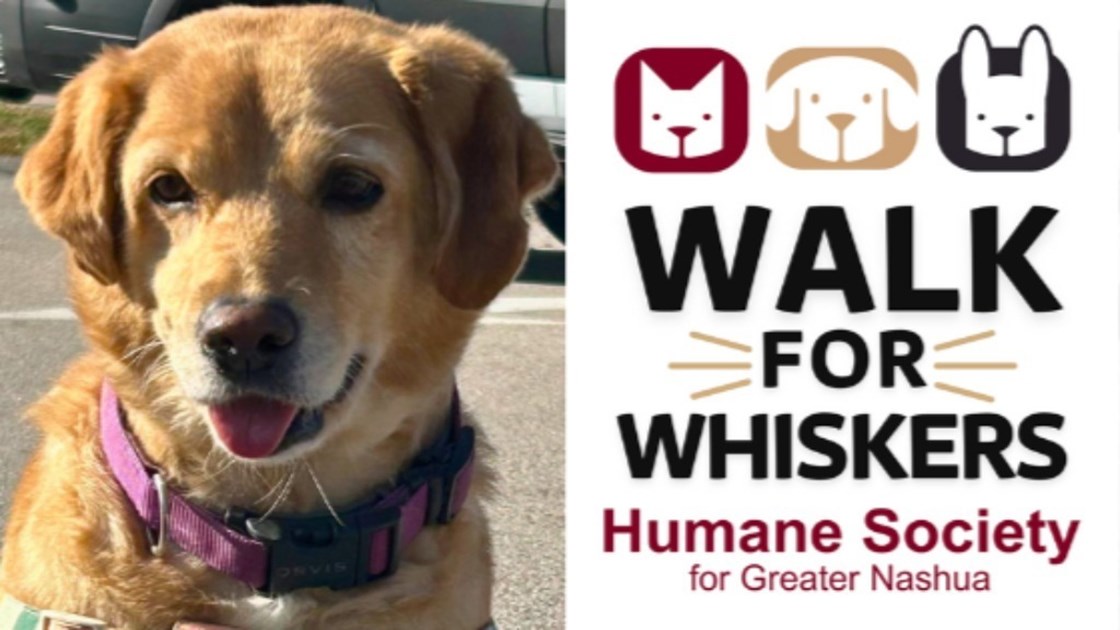 Barkin' Board Walk Team! is fundraising for Humane Society for Greater
