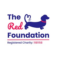 The Red Foundation Dachshund Rescue