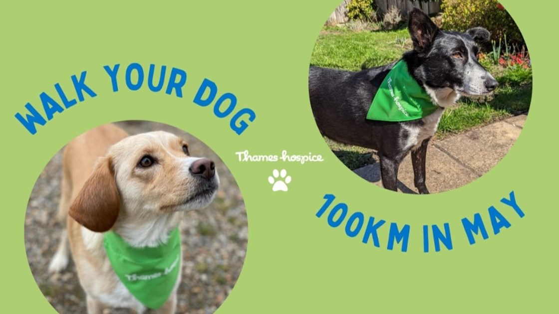 Walk your dog 100km in May - JustGiving