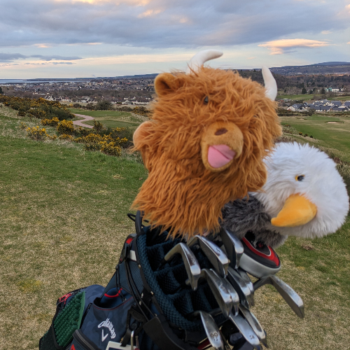 Remi's fundraising page