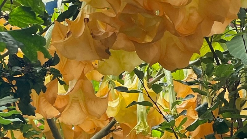 cover photo
