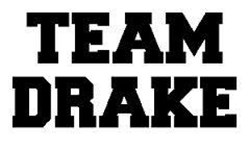 Team logo