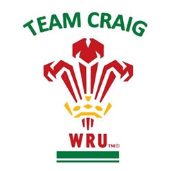 Team logo