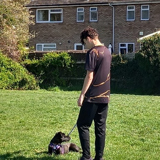 Olly walks