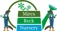 Mires Beck Nursery