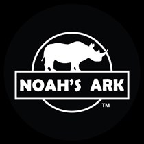 Noah's Ark