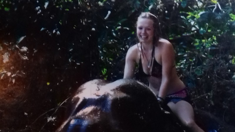 cover photo