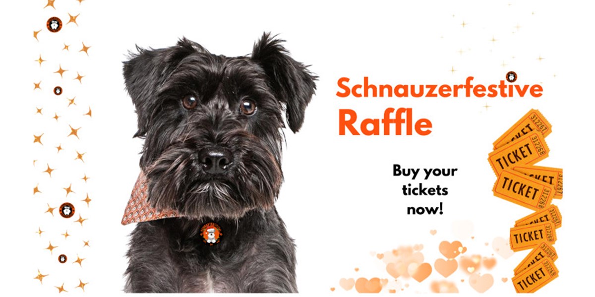 Schnauzerfest Charity is fundraising for Schnauzerfest