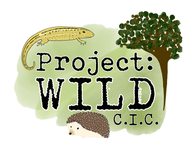 Wild перевести на русский. Wild Project. Project Wild one. Wildlife c LOGOUB.
