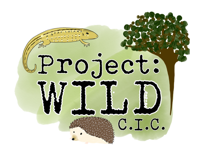 Are wild перевод. Project Wild one.