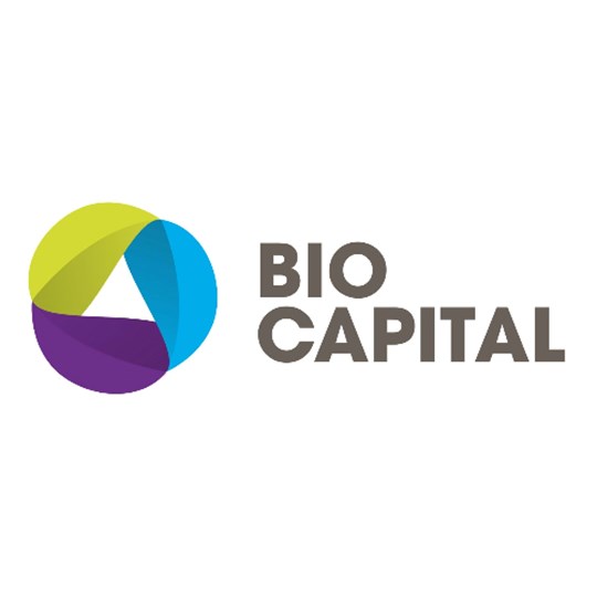 Bio Capital Ltd - Christmas Jumper Day