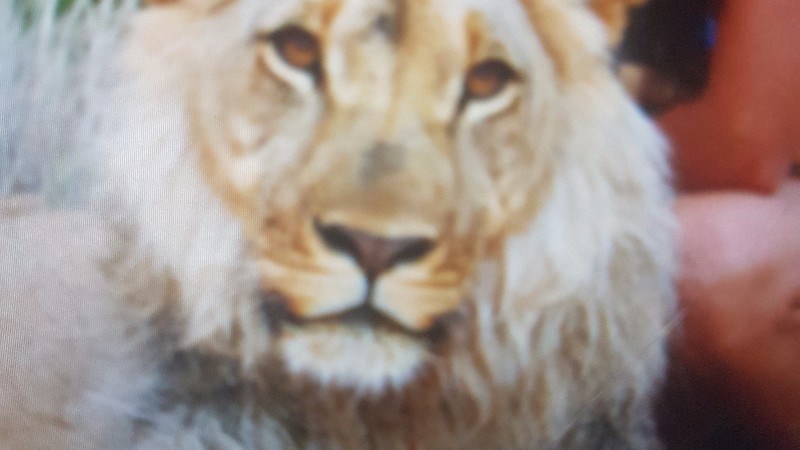 cover photo