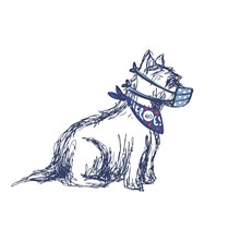 Salty Dog