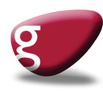 Gemini Professional Financial Group