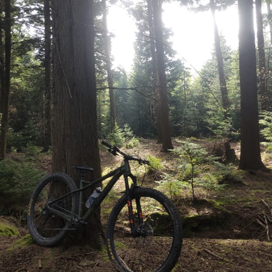 Sam's Cycle the Month Challenge Gold DofE