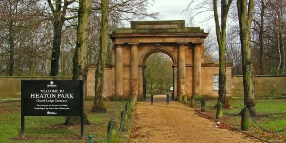 Hayden Harrington is fundraising for Macmillan Cancer Support