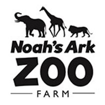 Noah's  Ark