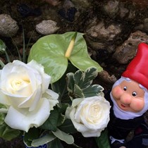 Epping Open Gardens