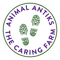 Animal Antiks - JustGiving