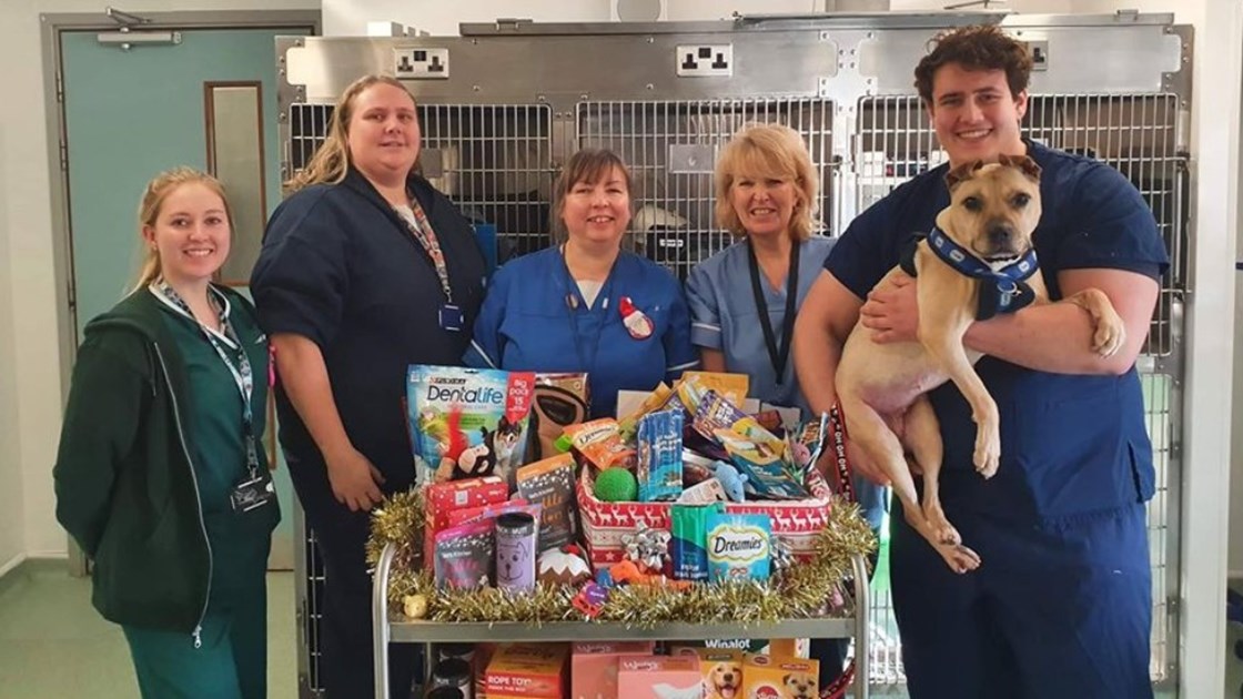 RSPCA Birmingham Animal Hospital JustGiving