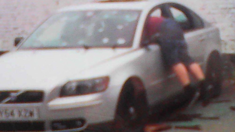 cover photo