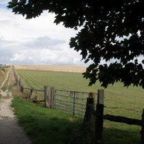 Saltdean Countryside