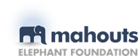 Mahouts Foundation
