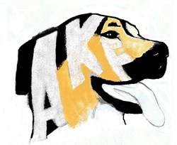 Team logo