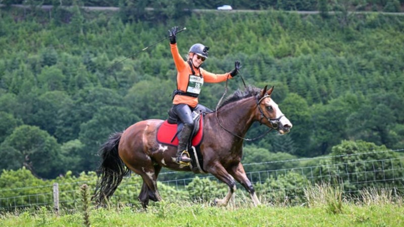 Sarah Walton Rabbit Sarah Walton is fundraising for Brain Tumour Research