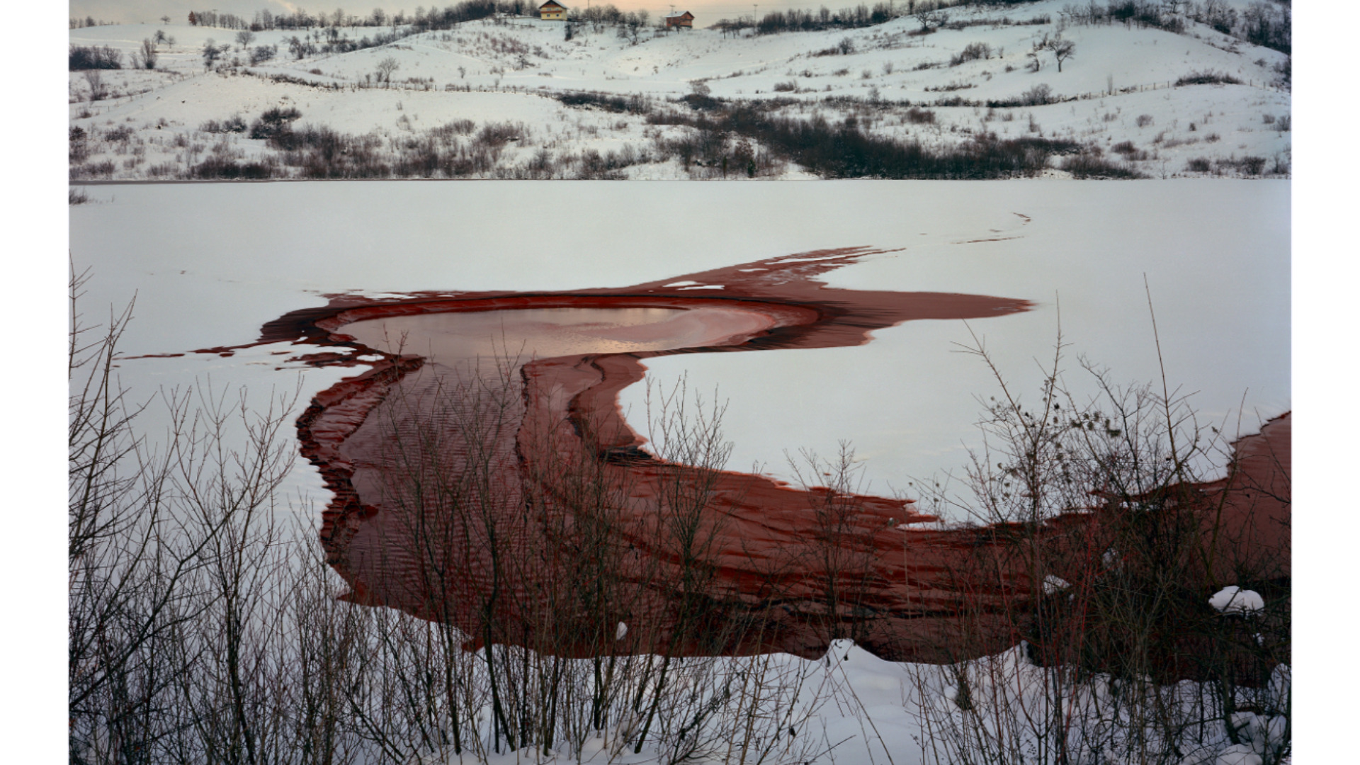 simon norfolk's profile