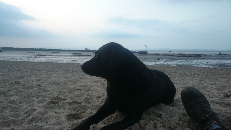 cover photo