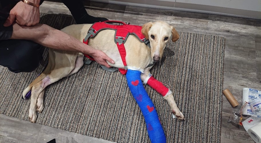 Update from the Page owner