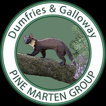 Dumfries and Galloway Pine Marten Group