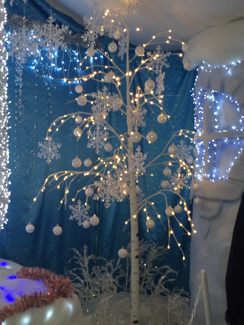 cover photo