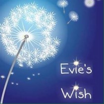 Evie's Wish