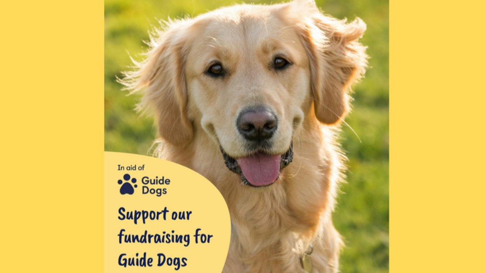 Sunny's fundraiser for Guide Dogs