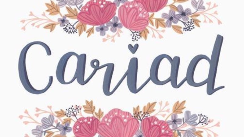 cover photo