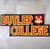 Fundraiser icon