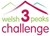 Fundraiser icon