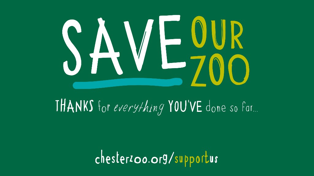 Chester Zoo keeping up the fight for an extinction free future