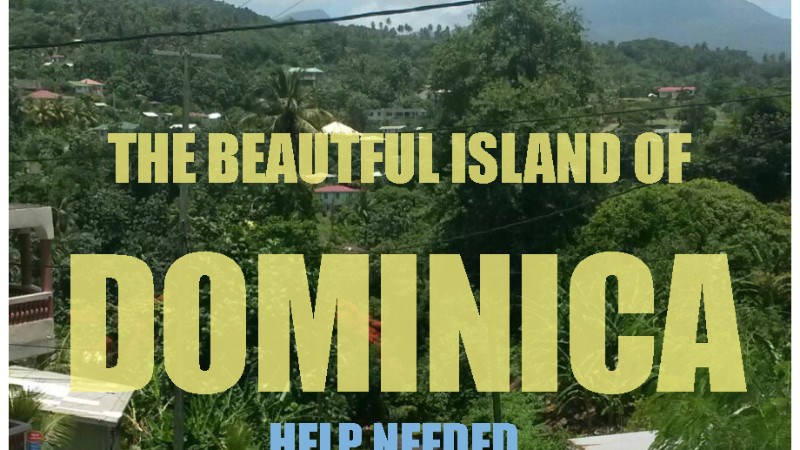 cover photo