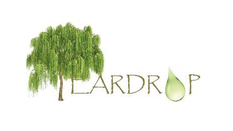 cover photo