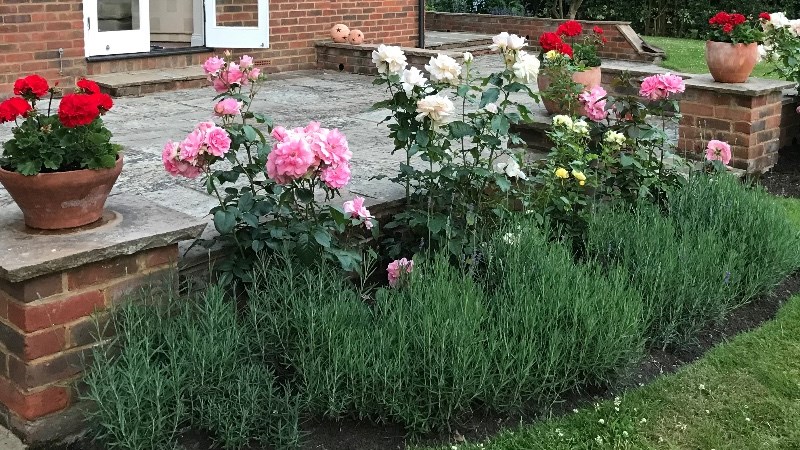 cover photo