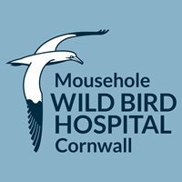 Mousehole Wild Bird Hospital and Sanctuary