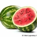 Arthur Watermelon